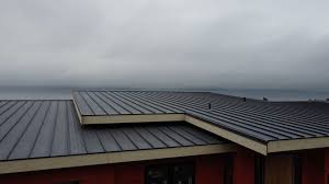 Best Commercial Roofing Services  in Twentynine Palms, CA